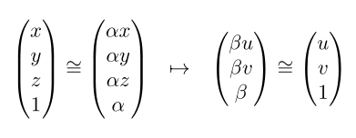 Homogeneous Mapping