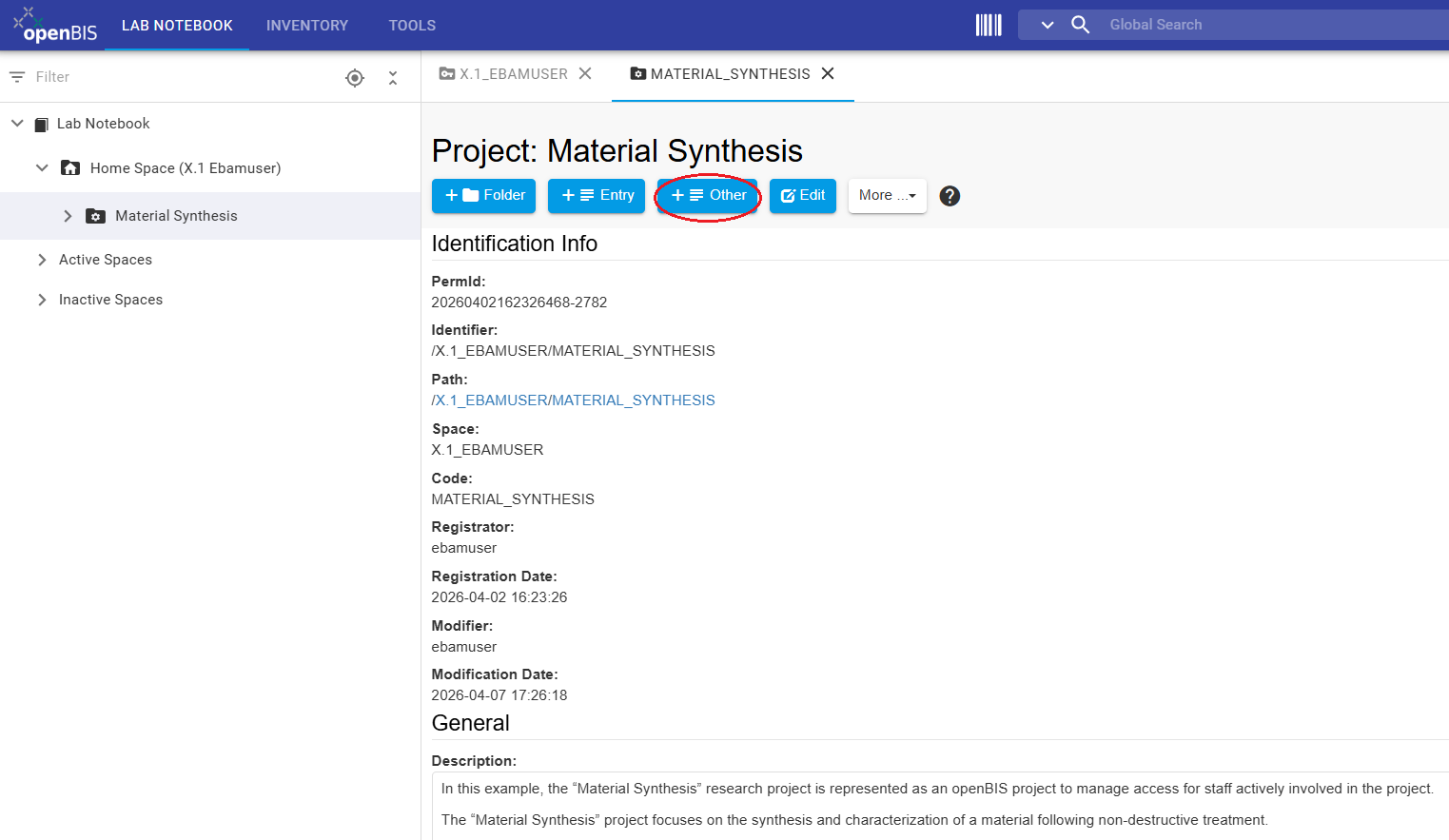 Project view showing collection creation