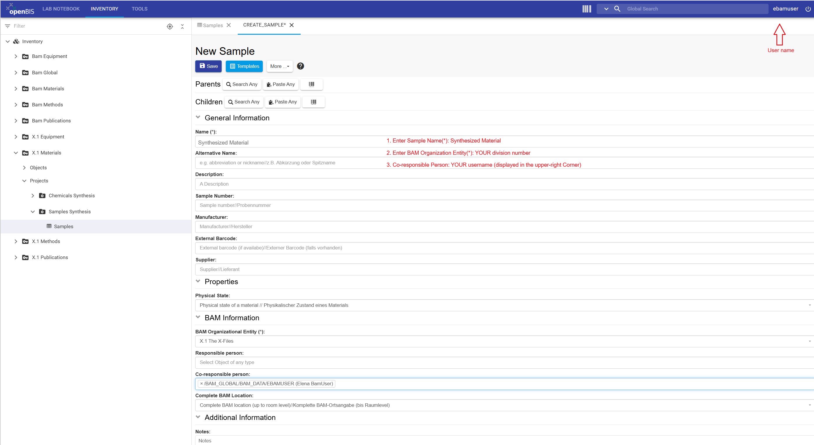 Sample metadata form and values to enter