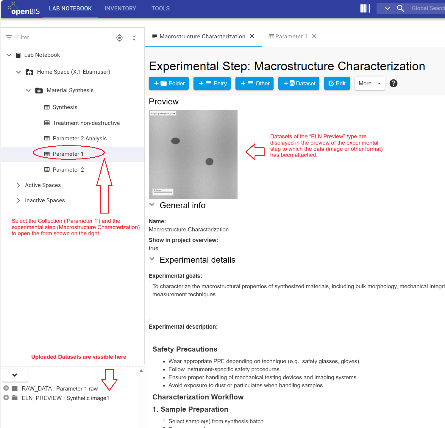 Image displayed in ELN Preview