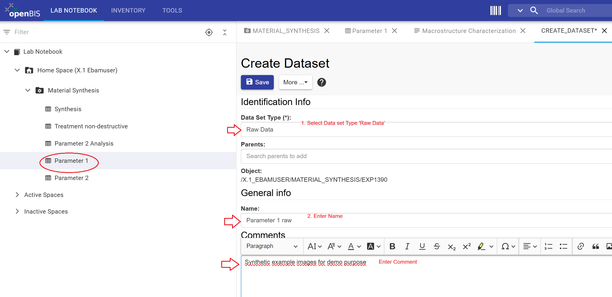 Dataset upload form