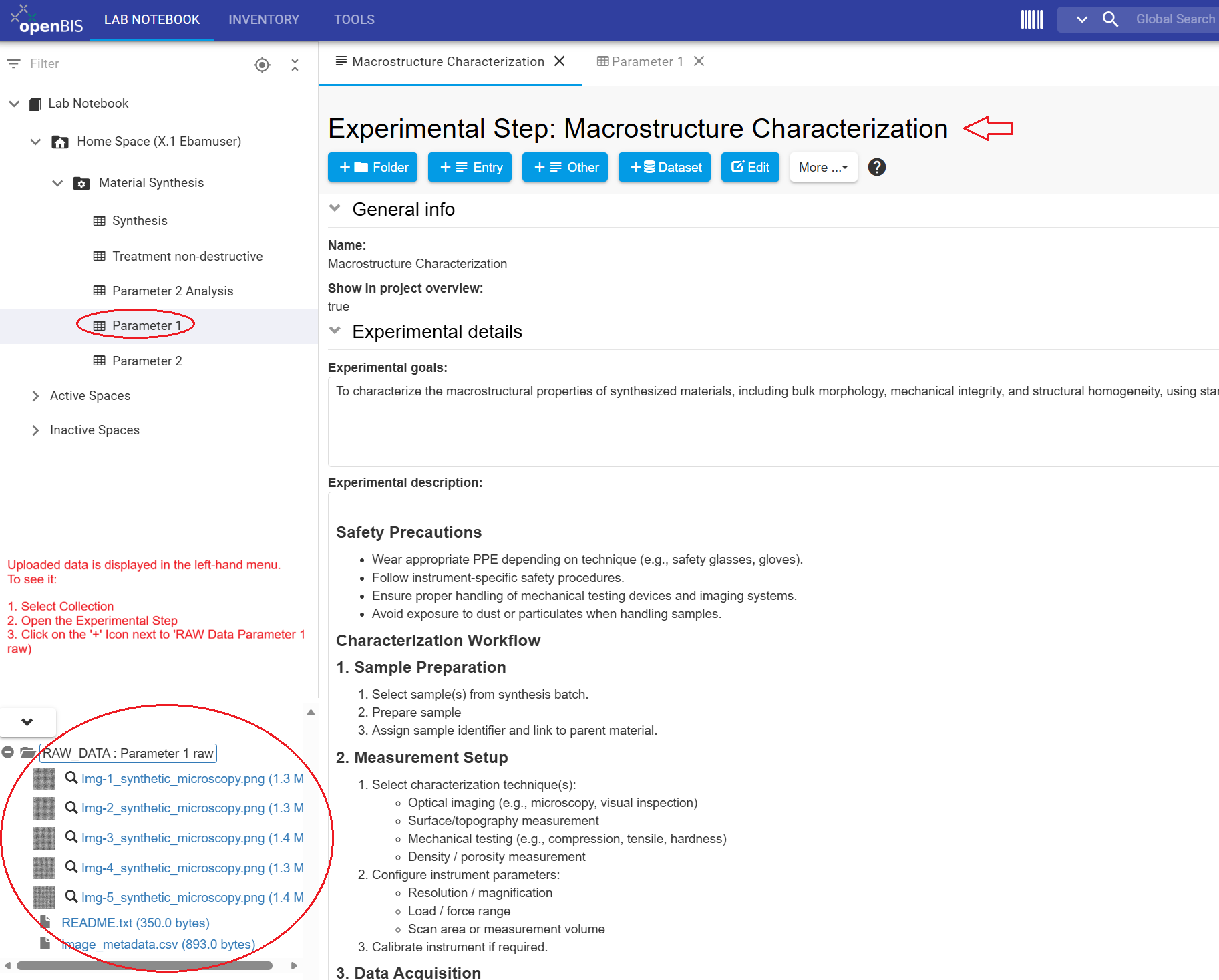 Uploaded dataset shown in Experimental Step
