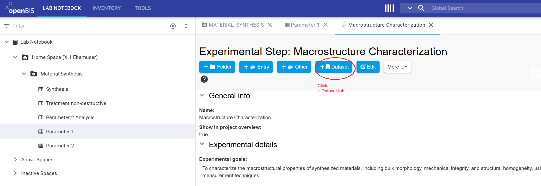 Add Dataset action